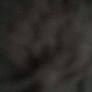 Meet your Posher, Michaela